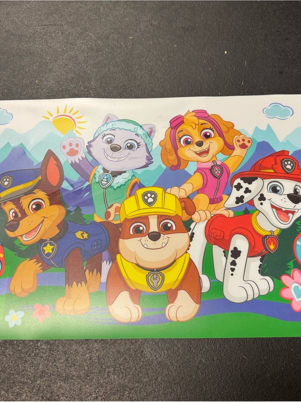 Paw Patrol Kids Placemat- Colorful Character Scene